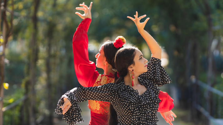 Flamenco - Paixo e Postura